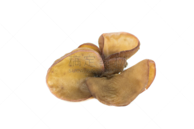 食用菌,白色背景,动物耳朵,褐色,水平画幅,素食,无人,营养品,白色,真菌