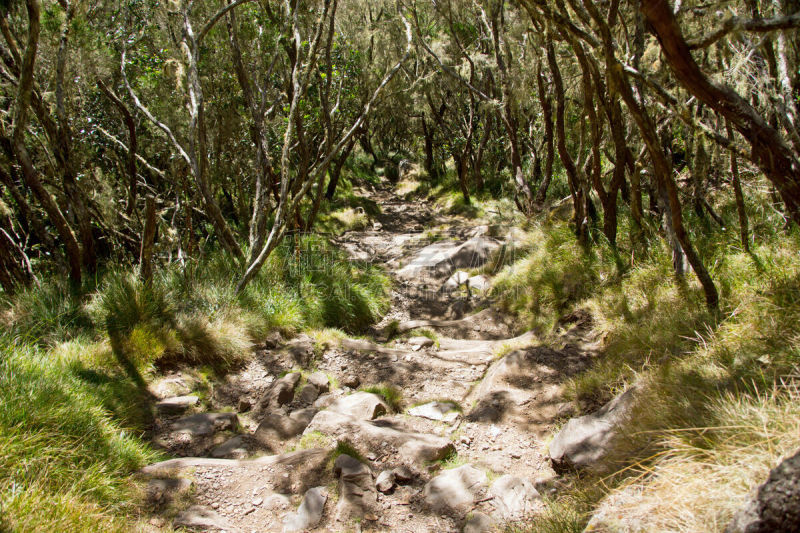 留尼汪（法属）,雨林,撒拉斯尔环岛,马法提环岛,马斯克林群岛,火山喷口,留白,水平画幅,无人,火山地形