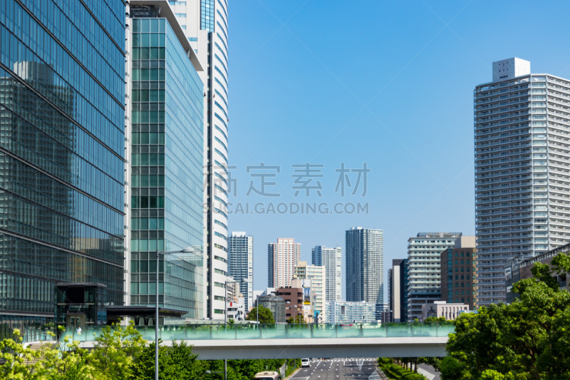 Toyosu buildings and tree-lined street１