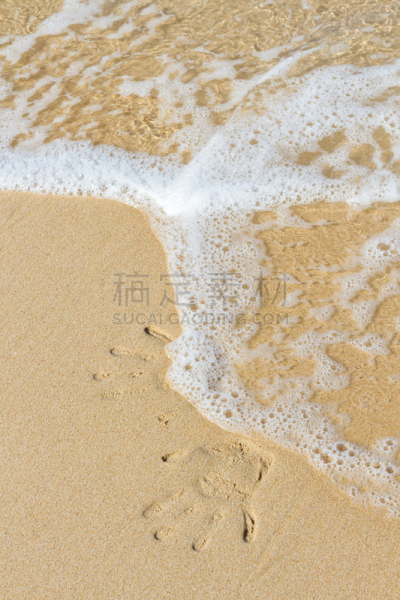沙子,运动跑道,垂直画幅,水,休闲活动,疤,旅行者,夏天,棕榈树,海滩