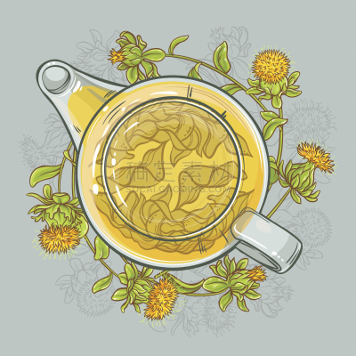 草红花,绘画插图,矢量,茶,苍术,茶壶,雌蕊,艺术,高视角,无人
