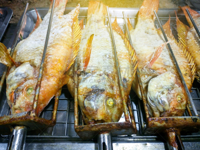格子烤肉,鱼类,炊具,酸,水平画幅,膳食,海产,夏天,户外,泰国