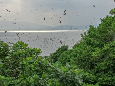基伍湖,非洲,卢旺达,水,天空,美,水平画幅,旅行者,夏天,户外