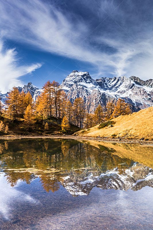 阿尔卑斯山脉,秋天,意大利,多莫多索拉,实地考察旅行,落叶松,皮埃蒙特,垂直画幅,水,天空