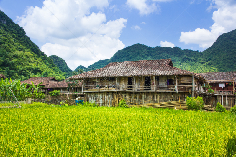 稻,文件管理,家,自然,水平画幅,山,英国飞机公司,无人,乡村,户外