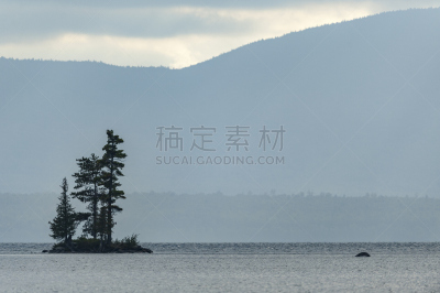 岛,马萨诸塞,睡莲,留白,美国,水平画幅,地形,山,秋天,无人