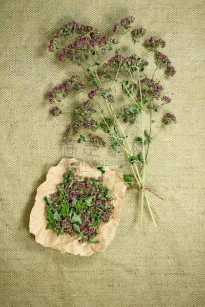 牛至,干的,草药,干花,垂直画幅,草原,枝繁叶茂,维生素,顺势医学,花茶