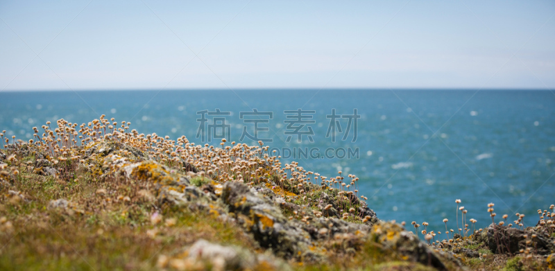 海石竹,岩石区,里面,峭壁,选择对焦,水平画幅,无人,海岸地形,户外,干的