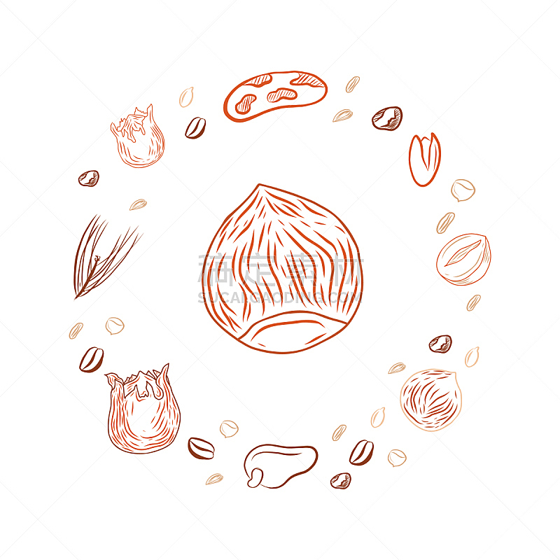 坚果,美洲山核桃,食品,榛子,图标,小吃,手,花生