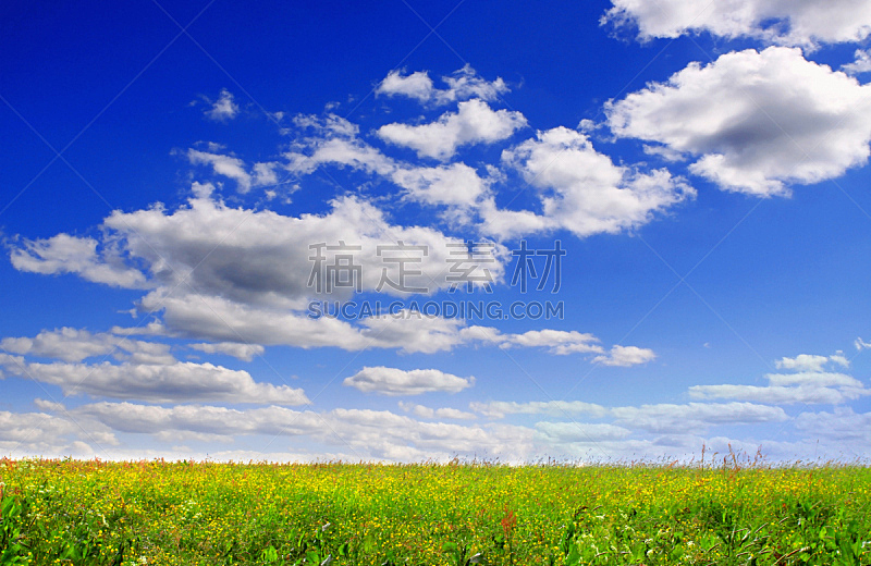 田地,绿色,背景,自然,草地,水平画幅,地形,无人,蓝色,夏天