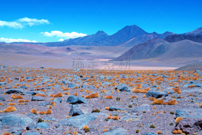 火山地形,偏远的,智利,阿塔卡马沙漠,贫瘠的,南美,天空,秃鹰,水平画幅,高视角