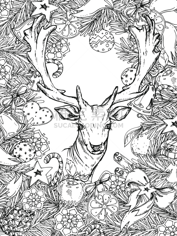 彩色书,垂直画幅,新年,边框,钢笔画,动物围栏,书页,彩色铅笔,花环