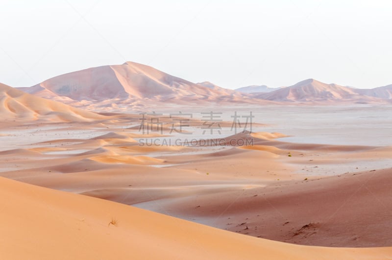 阿曼,沙丘,沙漠,dhofar,empty quarter,半岛,水平画幅,沙子,无人,户外