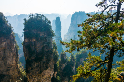 中国,地形,国内著名景点,著名景点,自然美,张家界,武陵源风景名胜区,湖南省,武陵源,植物
