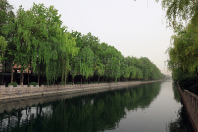 河流,风景,河北省,图像,石家庄,公园,柳树,无人,湖,植物