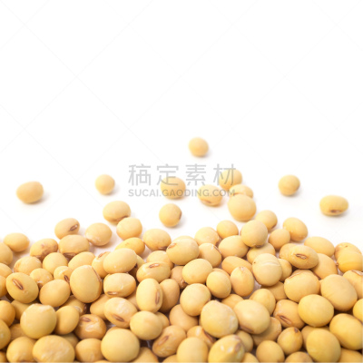 干的,白色背景,分离着色,大豆,膳食纤维,豆腐,干花,素食,无人,生食