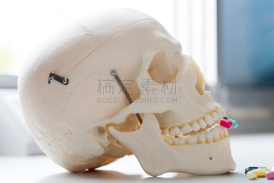 实验室,药,头骨,模型,莫尔德,烟曲霉菌,细菌垫,青霉菌,患病植物