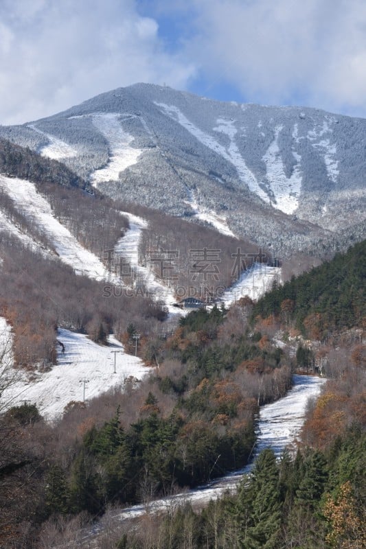 阿迪隆戴克山脉,冬季运动,lake placid town,秋天,垂直画幅,图像,滑雪运动,雪,美国,无人