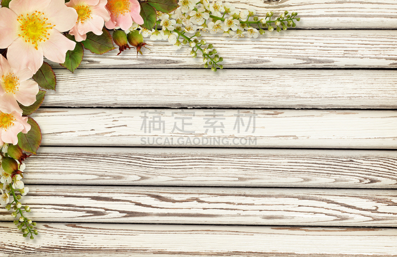 野玫瑰,角落,仅一朵花,木制,briard,冷肉卷,格兰迪伯瑞尔,美,边框,水平画幅