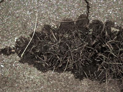 宫（德语）,硅藻土,德意志级战列舰,基尔周,2002,树园,石勒苏益格-荷尔斯泰因,水平画幅,秋天,无人