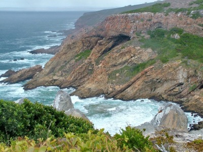 摩泽尔海湾,花园大道,海岸线,水,天空,水平画幅,无人,夏天,户外,地衣