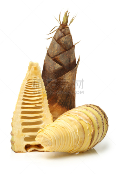 笋,白色背景,竹林,素食,根部,垂直画幅,无人,生食,中国,清新