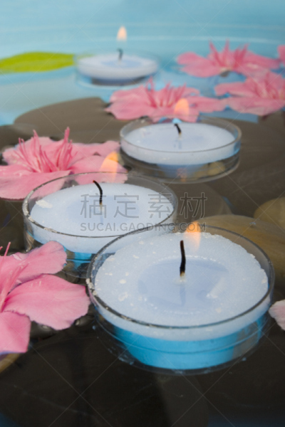 水,spa美容,仅一朵花,夹竹桃,垂直画幅,美,替代疗法,辅导讲座,无人,健康
