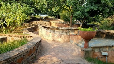 园林,过去,清新,景观设计,热带气候,色彩鲜艳,自然美,古代史,植物,背景