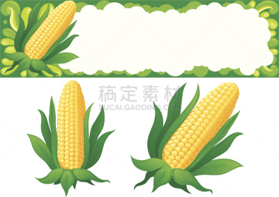 玉米,老玉米,甜玉米,无人,绘画插图,剪贴画,背景分离,特写,华丽的