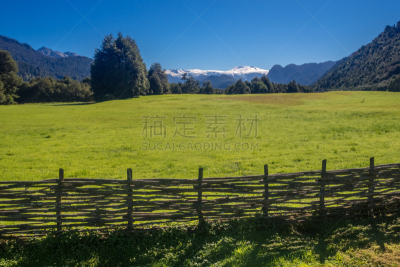 巴塔哥尼亚,智利,地形,夏天,国家公园,自然,风景,图像,自然公园,雪