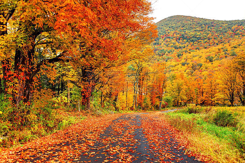 马萨诸塞,秋天,探险家,山谷,秋季系列,新英格兰,枝繁叶茂,风景,叶子,地形