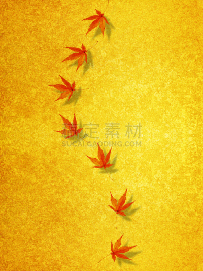 秋天,金叶,屏风分区,垂直画幅,京都府,美,留白,可爱的,无人,京都市