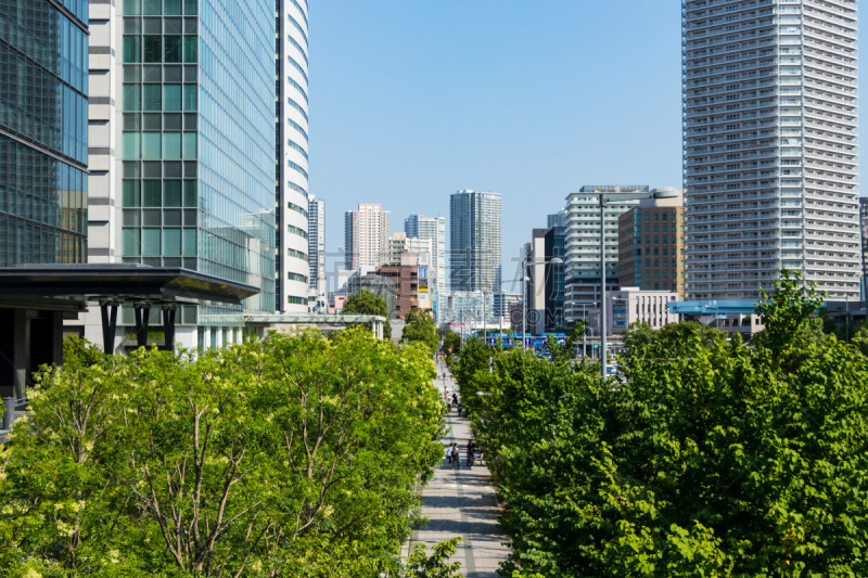 Toyosu buildings and tree-lined street９