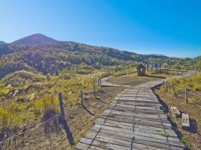 温泉,户矢子,火山口,小路,自然,国家公园,水平画幅,山,日本,户外