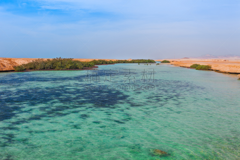 海洋,埃及,红树,海岸线,沙漠,穆罕默德酋长国家公园,沙姆谢伊赫,名声,西奈半岛,旅行