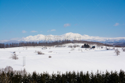 风景,冬天,山,贺卡,旭岳火山,云,日本落叶松,屋顶,深雪,背景