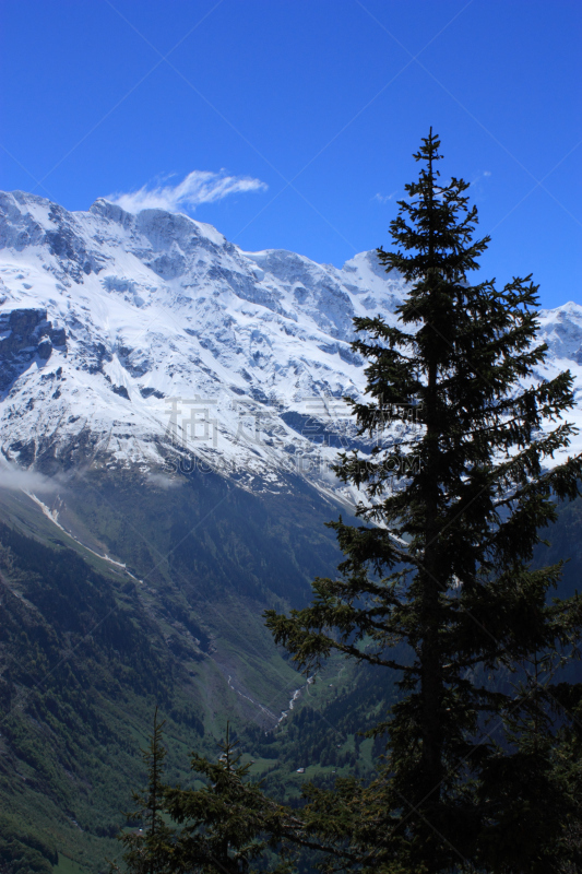 瑞士阿尔卑斯山,基米尔沃尔德,施雷克峰,希尔特峰,劳特布龙嫩,艾格峰,因特拉肯,垂直画幅,山,雪