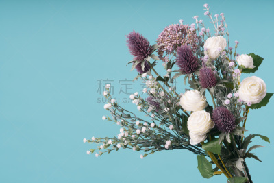 花束,自然美,背景,轻的,野生植物,美,水香花菜,芳香的,水平画幅,无人