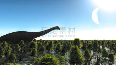 巨大的,梁龙,湿地,重的,水平画幅,无人,食草动物,火山地形,古老的,野外动物