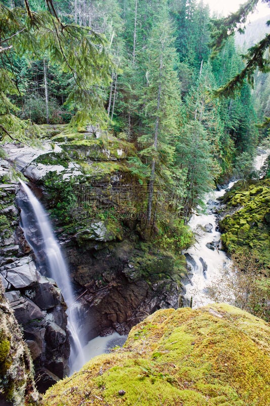 华盛顿州,mt baker-snoqualmie national forest,华特康县,诺沙克河,垂直画幅,水,枝繁叶茂,瀑布,户外,雨林