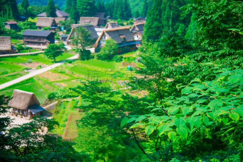 日本,富山县,农舍,农场,2018,夏天,户外,晴朗,城市,亚洲