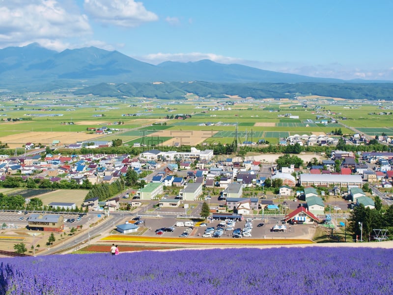 看风景,田地,熏衣草,山,伦敦城,天空,里山,夏天,明亮,都市风景