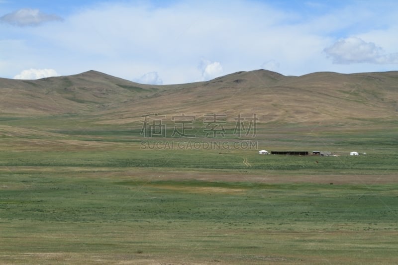 东欧大草原,自然,草地,柳树,水平画幅,野地,地形,山,无人,veldt