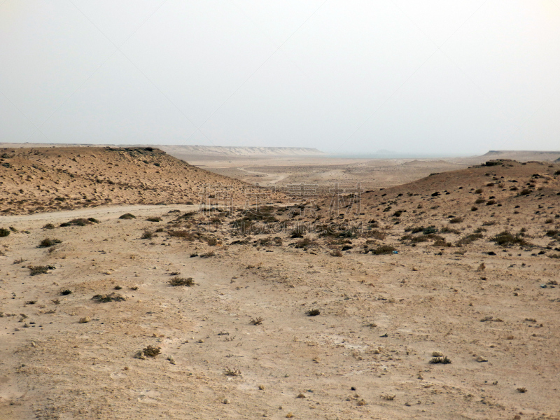 western sahara,地形,干热气候,西撒哈拉沙漠,达禾赖绿洲,热,空的,摩洛哥,沙漠,岩石