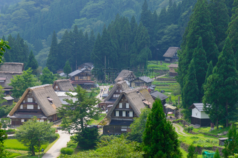 乡村,合掌屋,美,里山,水平画幅,旅行者,夏天,户外,非凡的,四季