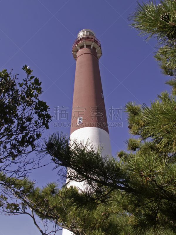 灯塔楼,巴奈哥特灯塔,垂直画幅,低视角,天空,州立公园,松树,美国,无人,建筑外部