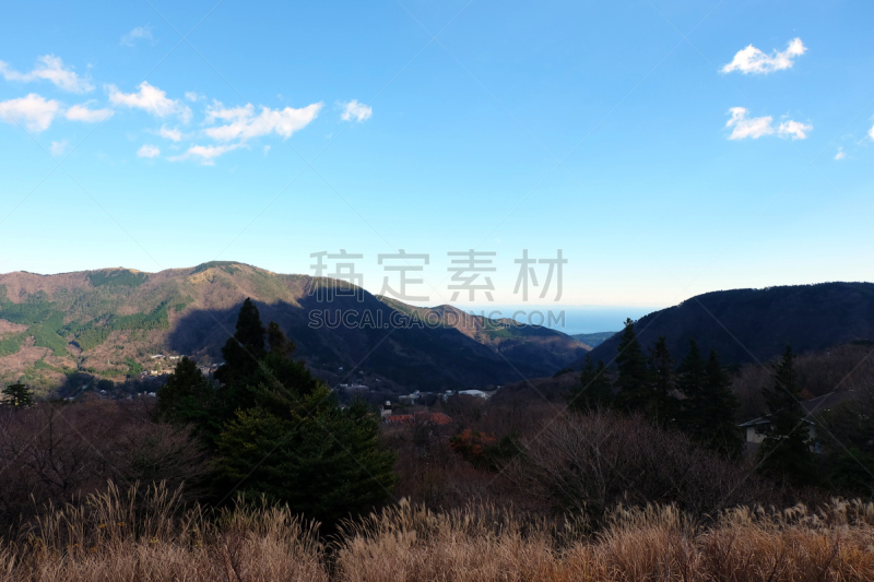 箱根园,箱根湿地植物园,富士箱根伊豆国立公园,富士山,水,天空,美,里山,水平画幅,美人