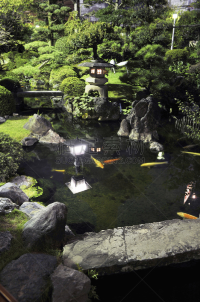 池塘,日本,鲤鱼,垂直画幅,灯笼,星和园,无人,摄影