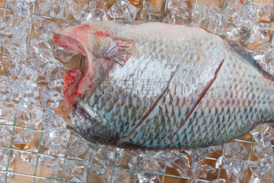 鱼类,罗非鱼,清新,炊具,尼罗河,冰块,格子烤肉,砂锅菜,配方,泰国食品