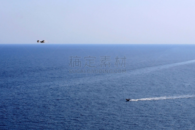 鸟类,海洋,在上面,赫罗纳,迅速,水平画幅,蓝色,喷水推进艇,夏天,喷气划船赛